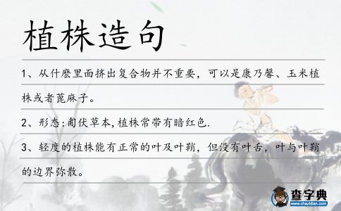 植株造句