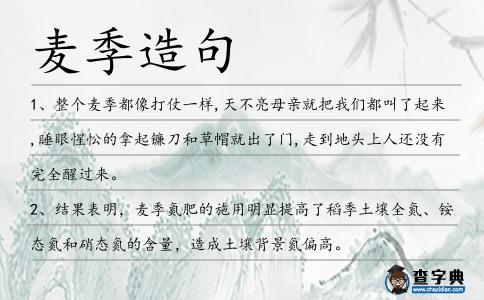 麥季造句