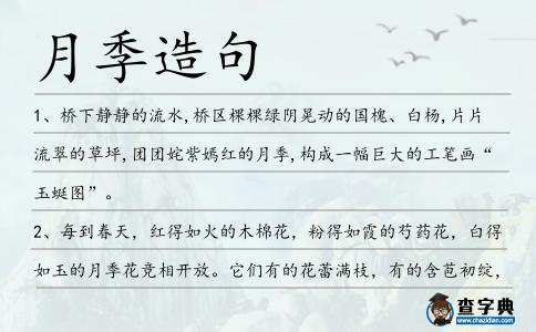 月季造句