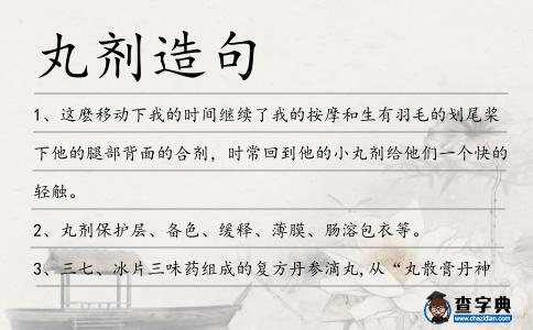 丸劑造句