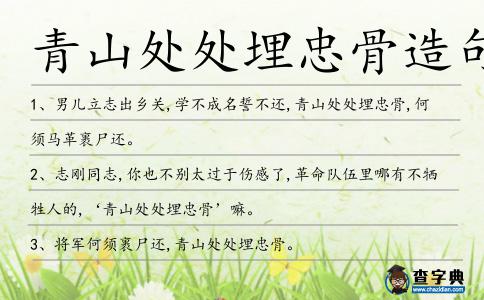 青山處處埋忠骨造句