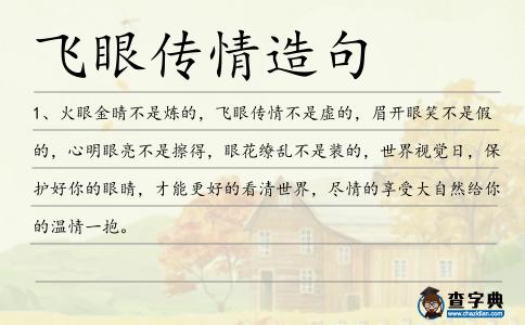 飛眼傳情造句