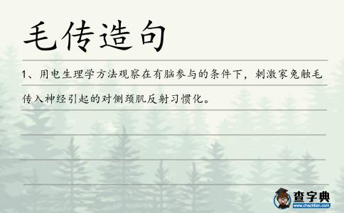 毛傳造句