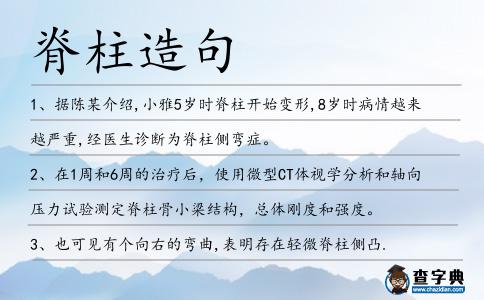 脊柱造句