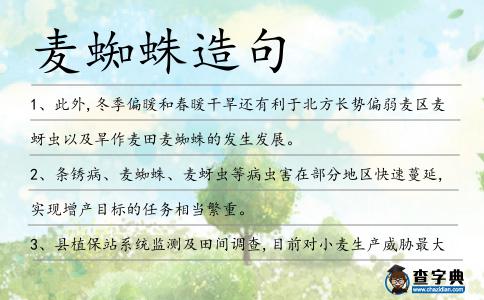 麥蜘蛛造句