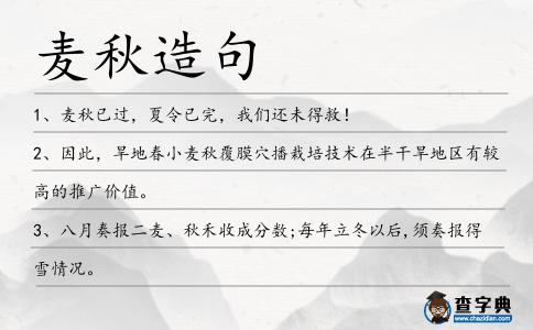 麥秋造句