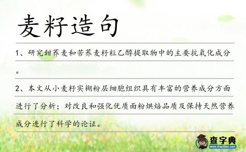 麥籽造句