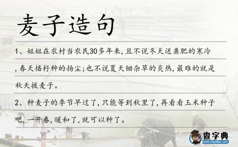 麥子造句