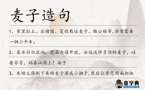 麥子造句