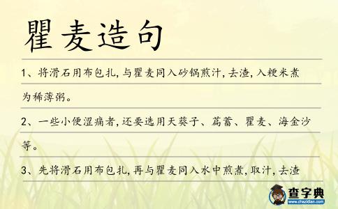 瞿麥造句