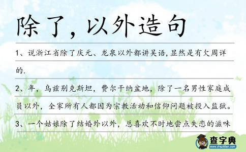 除了,以外造句