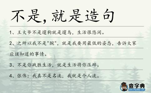 不是,就是造句