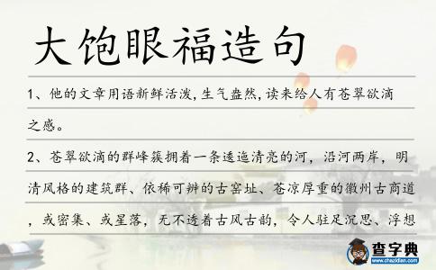 大飽眼福造句