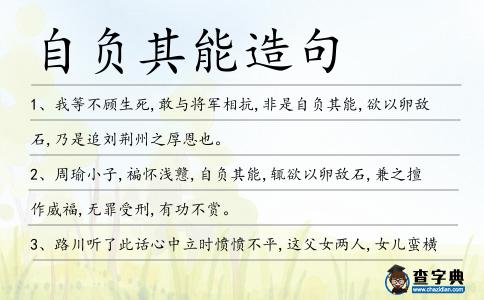 自負其能造句