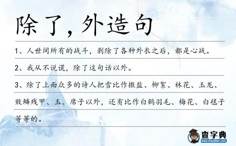 除了,外造句