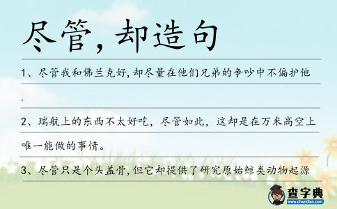 盡管,卻造句