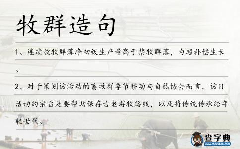 牧群造句