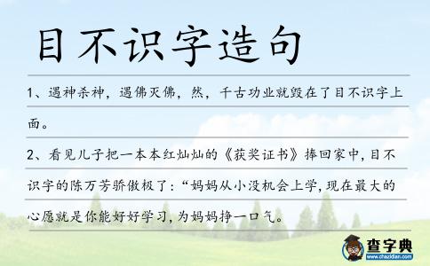 目不識字造句