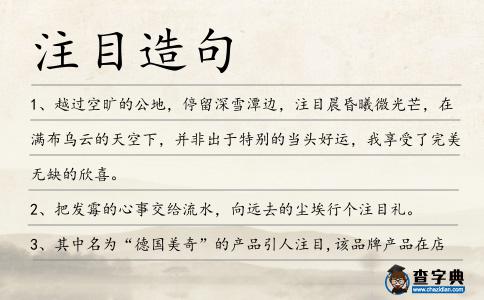 注目造句