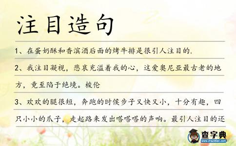 注目造句