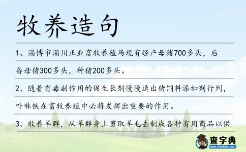 牧養(yǎng)造句