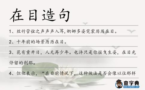 在目造句
