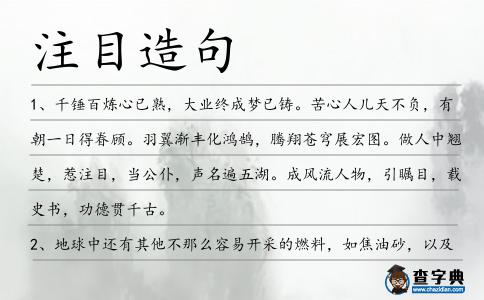 注目造句
