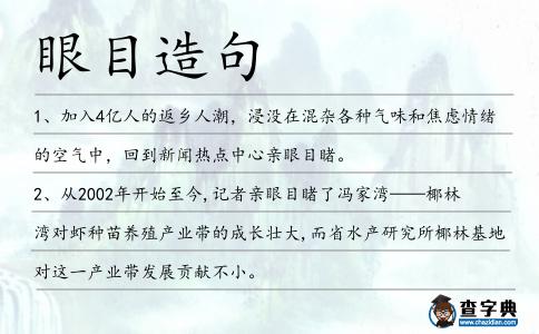 眼目造句