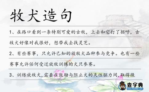 牧犬造句