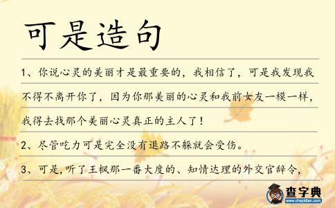 可是造句