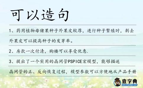 可以造句