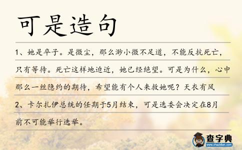 可是造句