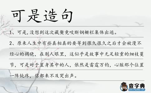 可是造句