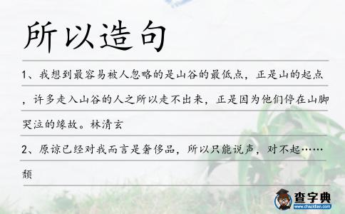 所以造句
