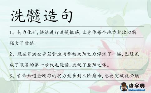 洗髓造句