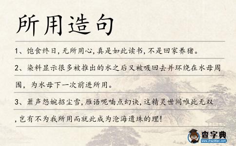 所用造句