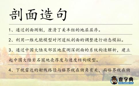 剖面造句