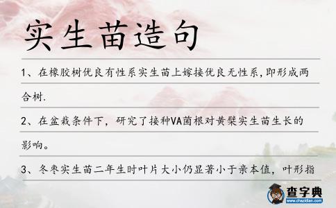 實生苗造句
