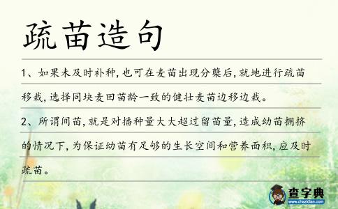 疏苗造句