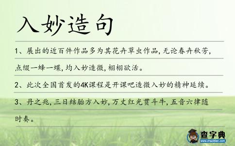入妙造句