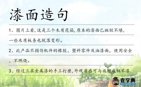 漆面造句