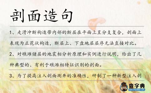剖面造句