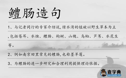 鱧腸造句