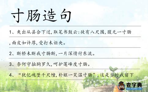 寸腸造句
