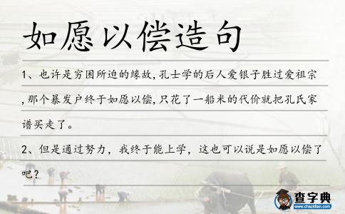 如愿以償造句