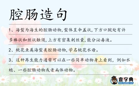 腔腸造句