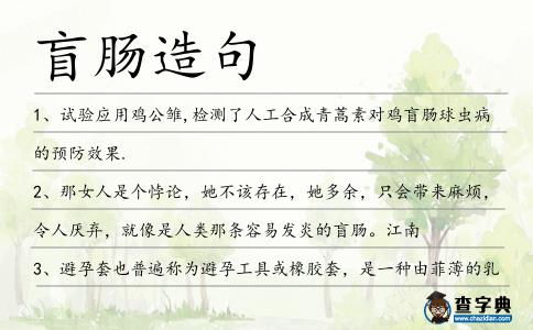 盲腸造句