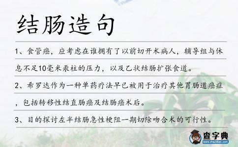 結腸造句