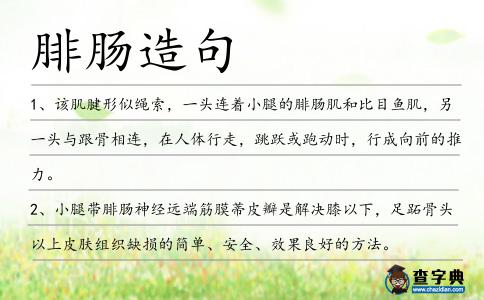 腓腸造句