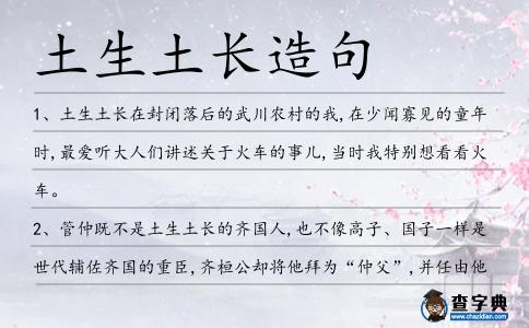 土生土長造句